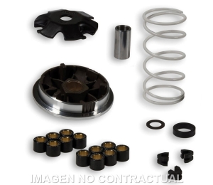 Variador Malossi Multivar...