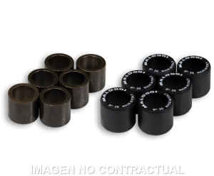 Rodillos Htroll 25X22,2 22 GR