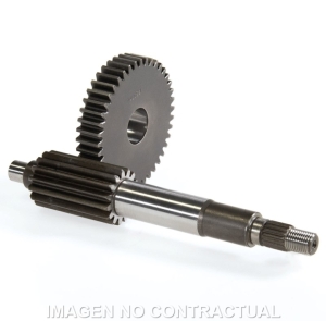 Desarrollo Primero Largo...