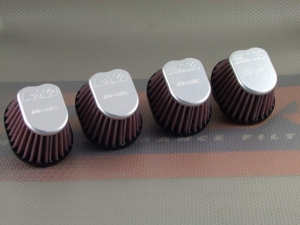 DNA UNIVERSAL XVI SPECIAL...