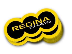 ADHESIVO REGINA 400X250