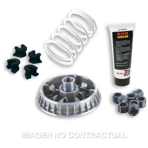 Variador Malossi Multivar...