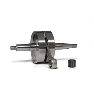 CIGÜEÑAL MALOSSI MHR TEAM...