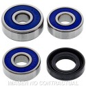 Kit de rodamientos rueda All Balls 25-1167