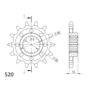 Piñón Supersprox BMW 520 x 14