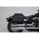 Soporte lateral SLH derecho LH1 Harley-Davids. Softail Low Rider/S (17-).Para LH1.