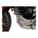 Protector de motor Plateado. Ducati Multistrada 1200 / S (10-14).