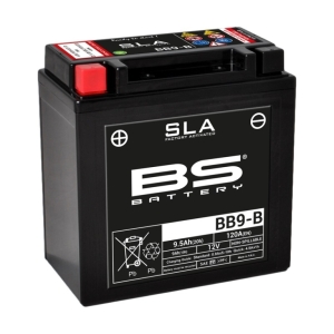 Batería BS Battery SLA...