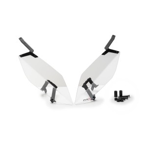 PROTECTOR FARO BMW F900XR...