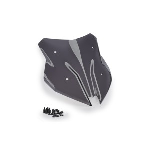 CUPULA SPORT BMW F900XR 20'...