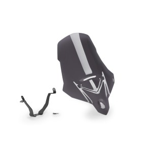 CUPULA TOURING TRIUMPH...