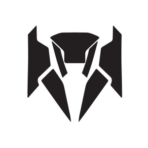 KIT PROTECTOR BMW CE 04...