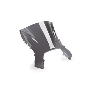 Cúpula Z-Racing - PUIG 5251