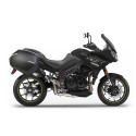 3P SYSTEM TRIUMPH TIGER 1050