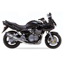 Ixil - OS8051VSE - para SUZUKI GSF 600 N BANDIT 01-04 (WVA8) - SLIP ON - HEXOVAL XTREM EVOLUTION