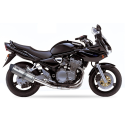 Ixil - OS8095VSE - para SUZUKI GSF 1200 N BANDIT 00-05 (WVA9) - SLIP ON - HEXOVAL XTREM EVOLUTION