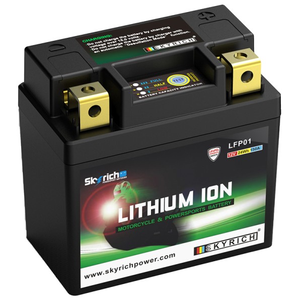 Batería litio Skyrich LFP01