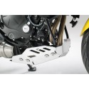 Protector de motor Plateado. Kawasaki Versys 650 (14-20).
