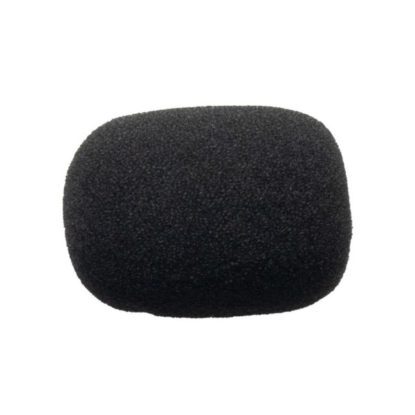 ESPONJA CARDO PARA MICRO