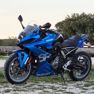SUZUKI GSX-8R - Protector de cadena Negro
