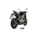 Mivv Slip-On GP Pro carbono Kawasaki Z900 2017-19 / Z900 A2 (35 KW / 70 KW) 2017-25
