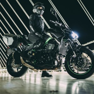 ALFORJAS HARD SHELL E48SR 2 un.