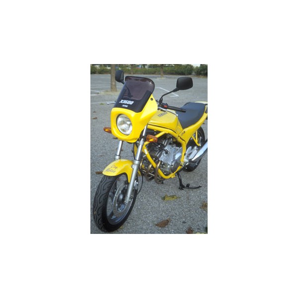 Cúpula para frontal para RS 02 2000-2005 Ermax 010502004