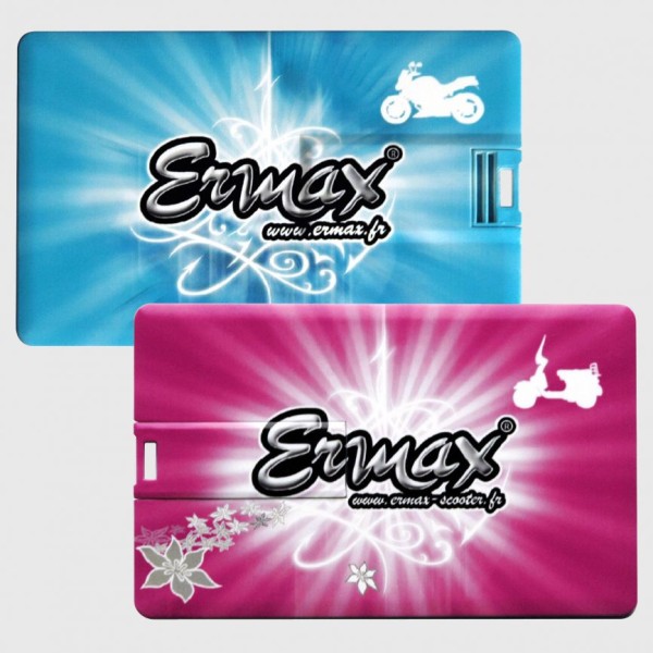 Tarjeta de memoria USB Ermax (2Go) Ermax 870500013