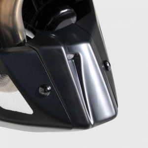 Fixsm kit de fijación para quilla motor para MT 07/FZ-07 2014-2020 Ermax 9002SM121