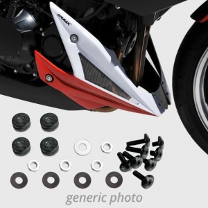 Fixsm kit de fijación para quilla motor Z 1000 2014-2018 Ermax 9003SM087