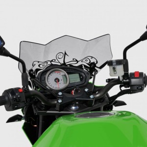 Cocottes derecha y izquierda con signos LED para Z 750 2007-2012 Ermax CO03NO060