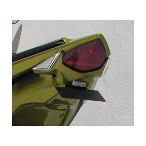 Soporte de matrícula MINI Ermax 9005NO000