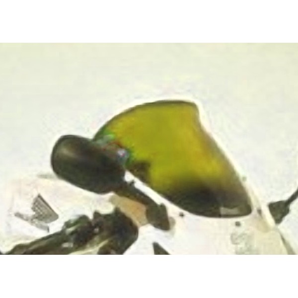 Cúpula sobre elevada HP +5 cm 0101xx070 Ermax 010107070