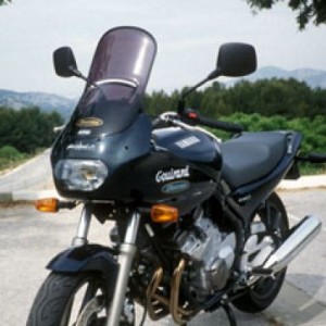 Cúpula sobre elevada HP +10 cm 0102xx023 Ermax 010203023