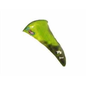 Cúpula sobre elevada HP +5 cm 0102xx053 Ermax 010207053