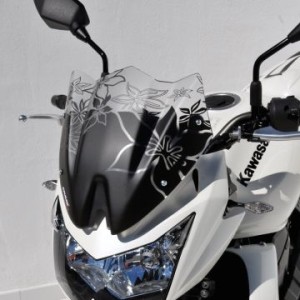 Cúpula naked tipo Z1000 0303xxs60 Ermax 030354S60