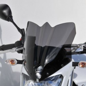 Cupolino con fijaciones sobre elevado HP +38 cm 0602xx114 Ermax 060203114