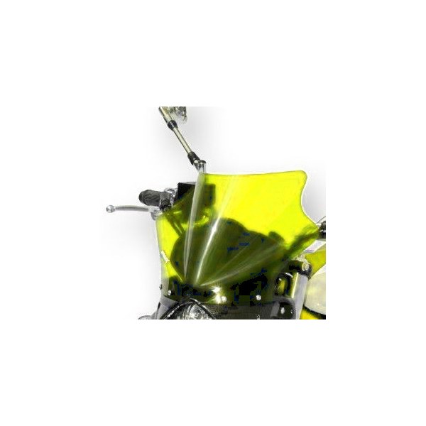 Cupolino con soporte look carbono 0604xx094 Ermax 060407094