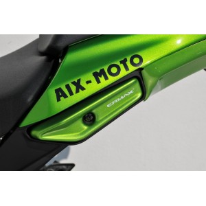 Kit de tapa de intermitente delanteros y agarradera trasera 7503xx079 Ermax 750324079