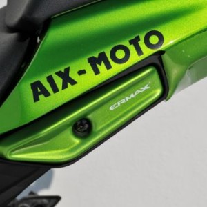 Kit de tapa de intermitente delanteros y agarradera trasera 7503xx079 Ermax 750324079