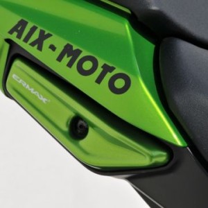 Tapa de agarradera trasera 7503xxb79 Ermax 750324B79