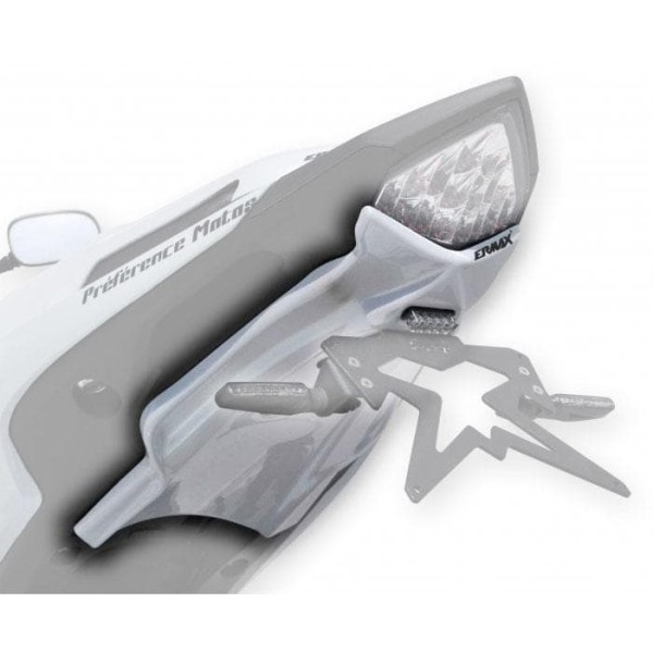 Kit de soporte de matrícula con luz de matrícula y catadióptrico 7901xx098 Ermax 790100098