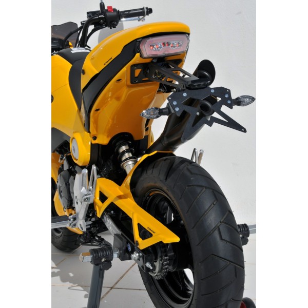 Tapa de soporte de matrícula 7901xx138 Ermax 790112138