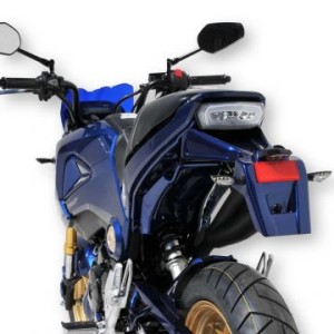 Tapa de soporte de matrícula 7901xx138 Ermax 790114138