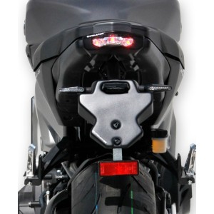 Kit de soporte de matrícula con luz de matrícula y catadióptrico 7902xx117 Ermax 7902BL117