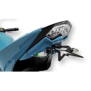 Kit de soporte de matrícula con luz de matrícula y catadióptrico 7903xx060 Ermax 790320060