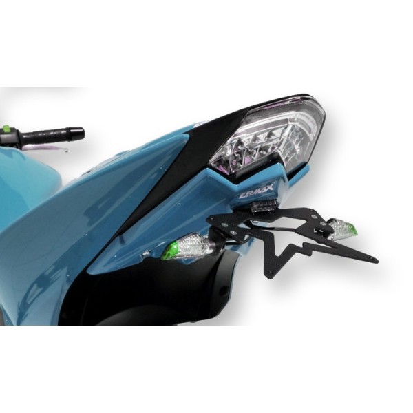 Kit de soporte de matrícula con luz de matrícula y catadióptrico 7903xx060 Ermax 790320060