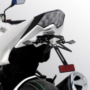 Kit de soporte de matrícula con luz de matrícula y catadióptrico 7903xx060 Ermax 790321060