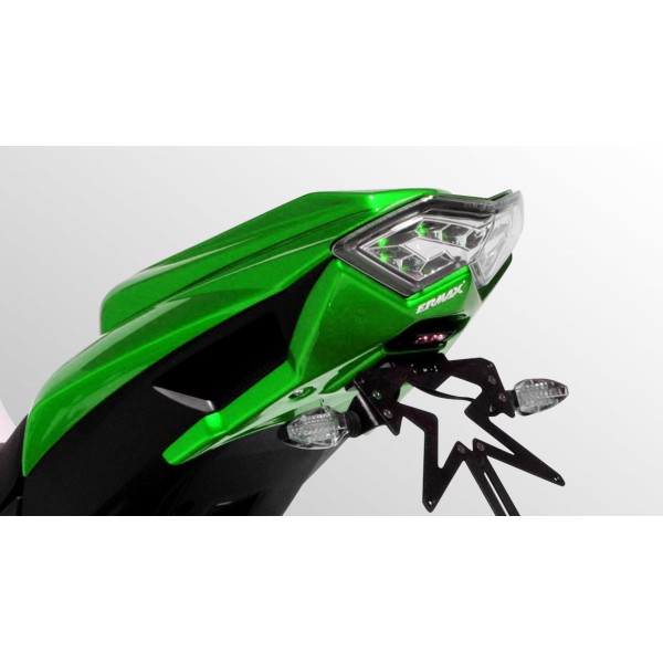 Kit de soporte de matrícula con luz de matrícula y catadióptrico 7903xx077 Ermax 790322077