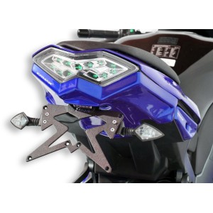 Kit de soporte de matrícula con luz de matrícula y catadióptrico 7903xx079 Ermax 790314079